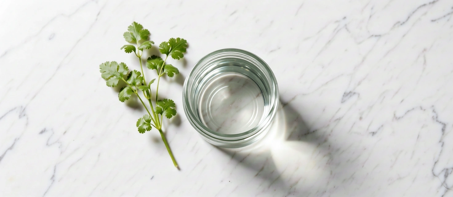 Nutrition philosophy visual